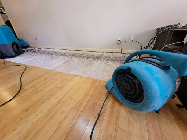 Professional Burst Pipe Water Damage technician working in Fullerton, CA